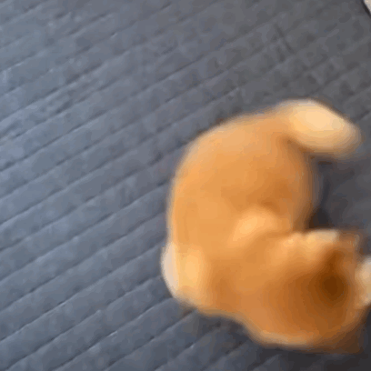 #原来手机APP也有歧视链#相信不只是我有这样的苦恼，很多App明明不常用，但是