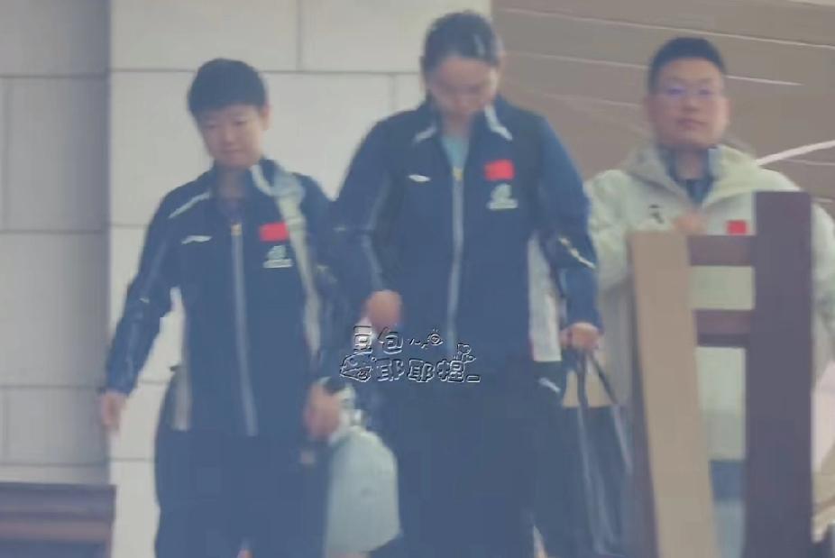 海口亚洲杯第二天，孙颖莎吃完早饭就和队友一起去上训啦！
一身队服，步履匆匆，低调