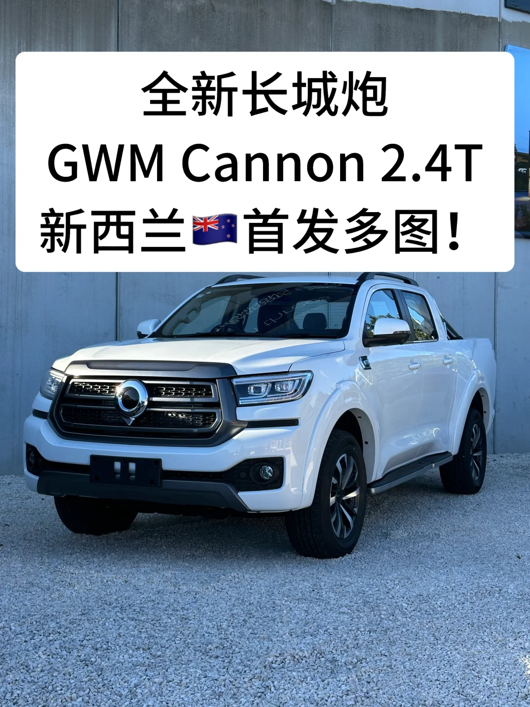 🇳🇿全新长城炮2.4T首发-高清大图