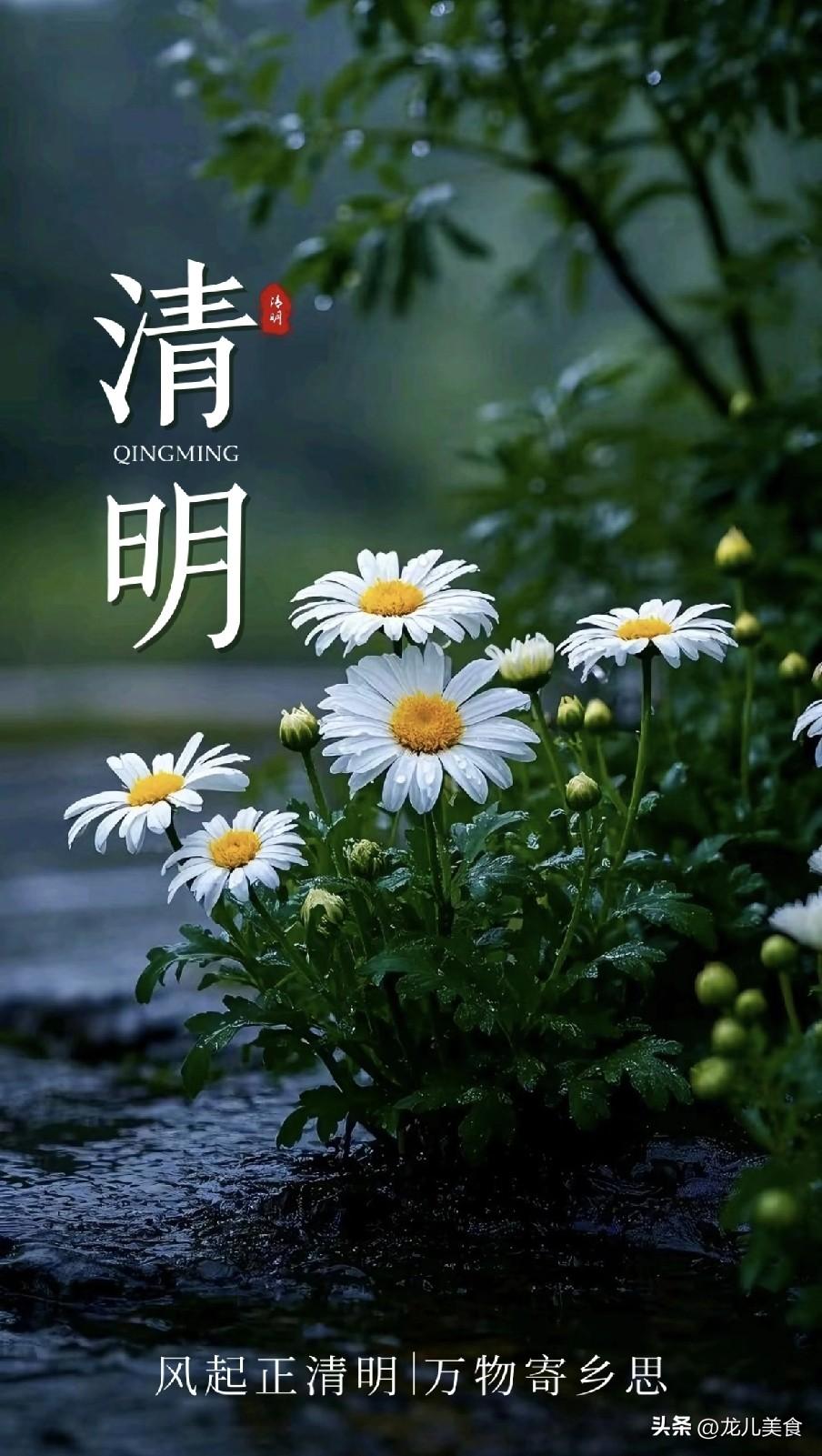 2026年清明节上坟最佳时间，这3个人不宜上坟？早看早了解
 
柳色如烟覆野塘，