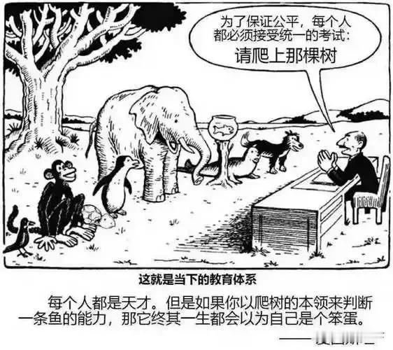 关于孩子的学习教育
小侄女从一年级跳到了三年级，又从三年级跳到了五年级，经历了一