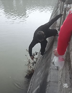 你们真的都是好人！[祈祷]