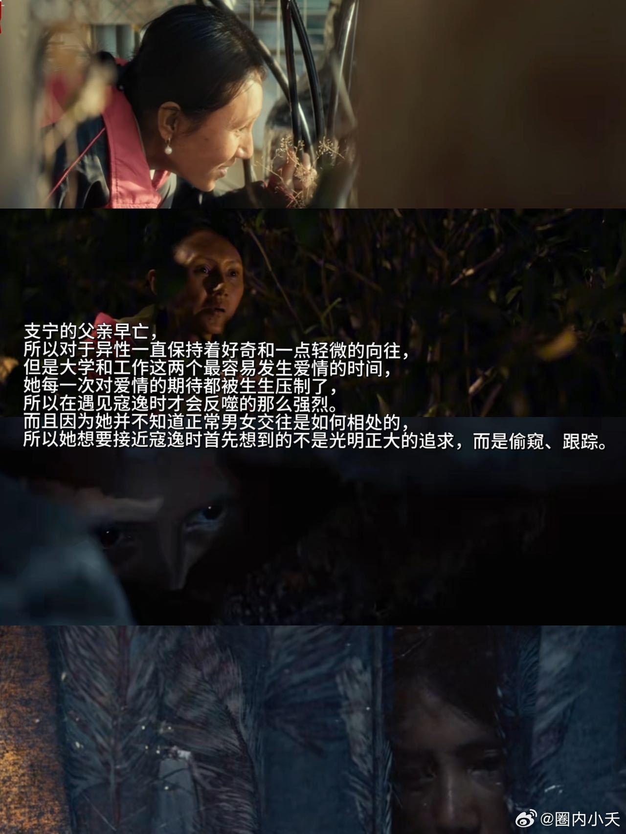 蜂蜜的针袁泉疯魔演技 袁泉把支宁的挣扎与执念演到了骨子里，疯魔之下全是对自我的追