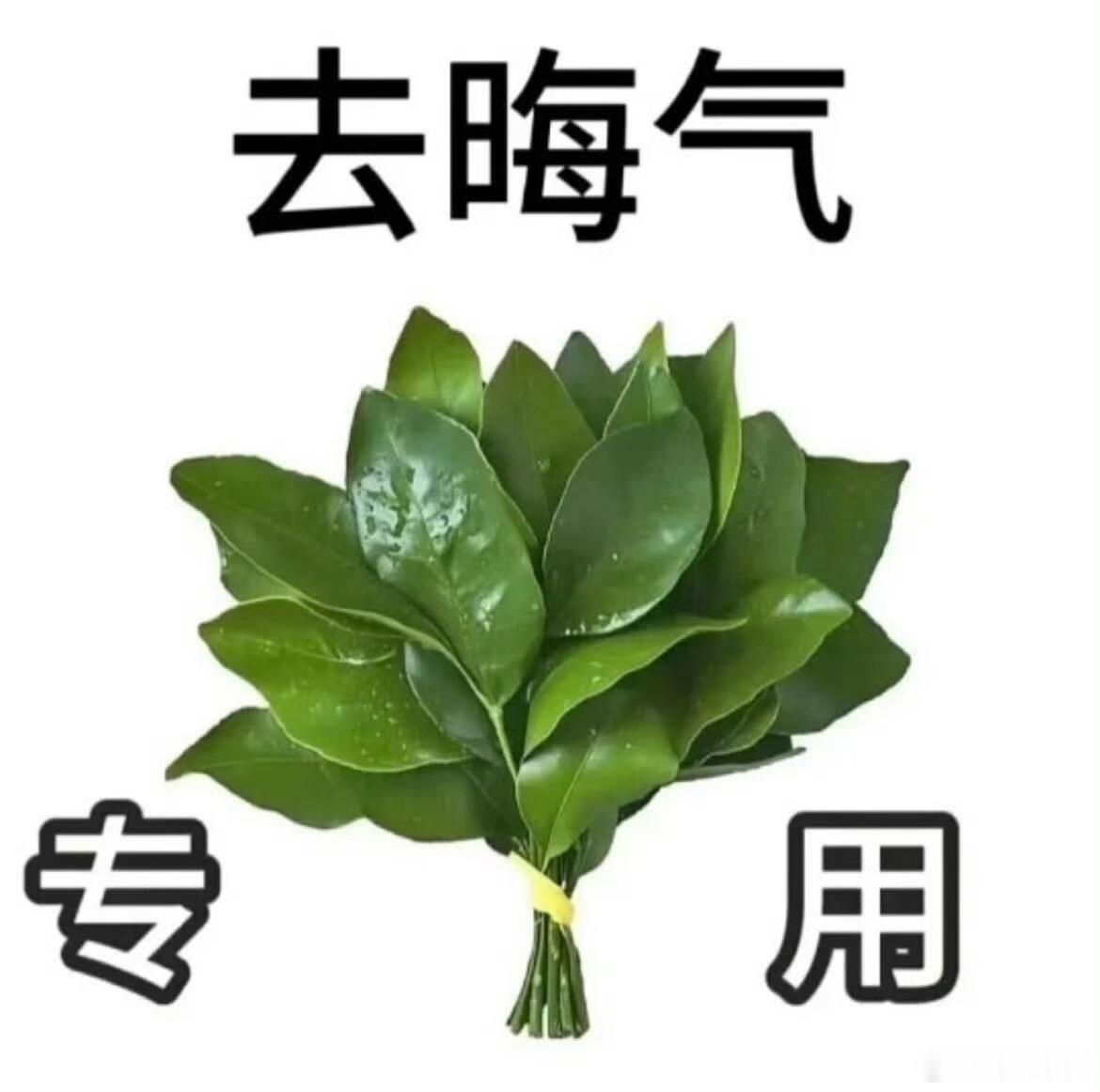 蔡依林休假中，勿cue。[哈欠] ​​​