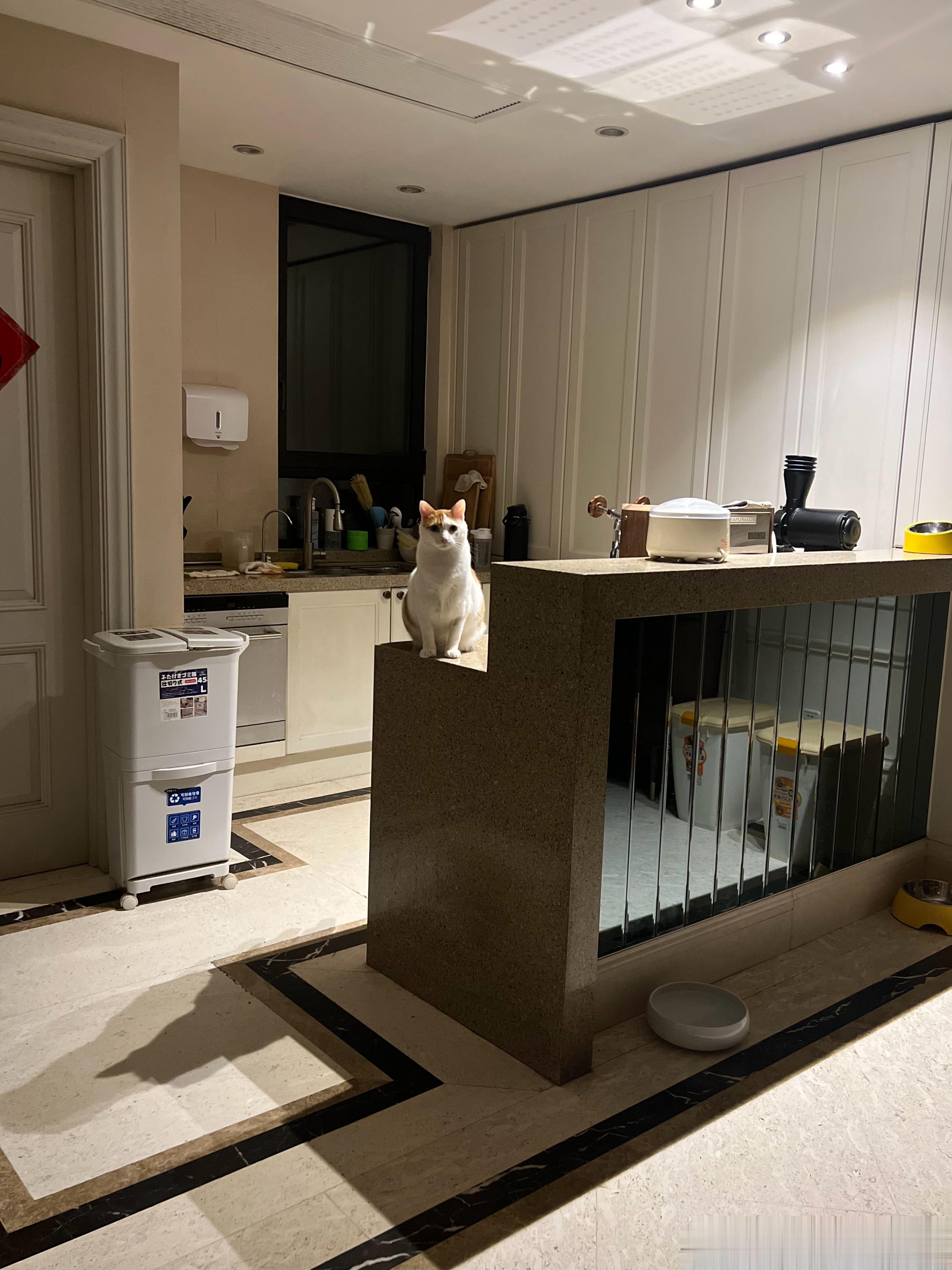 猴猴的大夜班又给排上了，好好值班哦，年底的A有望是我猴！ ​​​