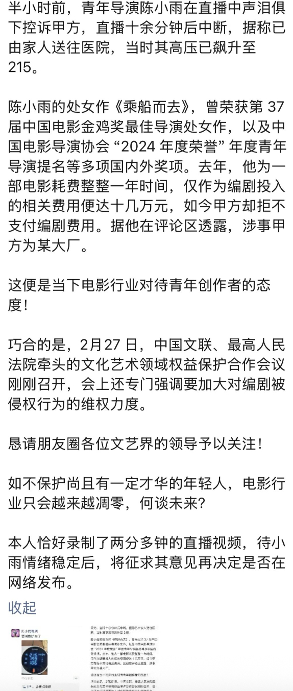 《乘船而去》导演陈小雨在直播中控诉某大厂甲方，他为筹备一部电影耗费1年时间，仅作