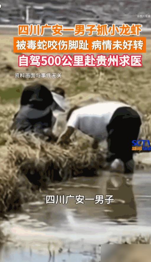 悲剧还是发生了！四川广安，一名男子深夜私自前往水田捕捉小龙虾，没抓到几个，反倒惨