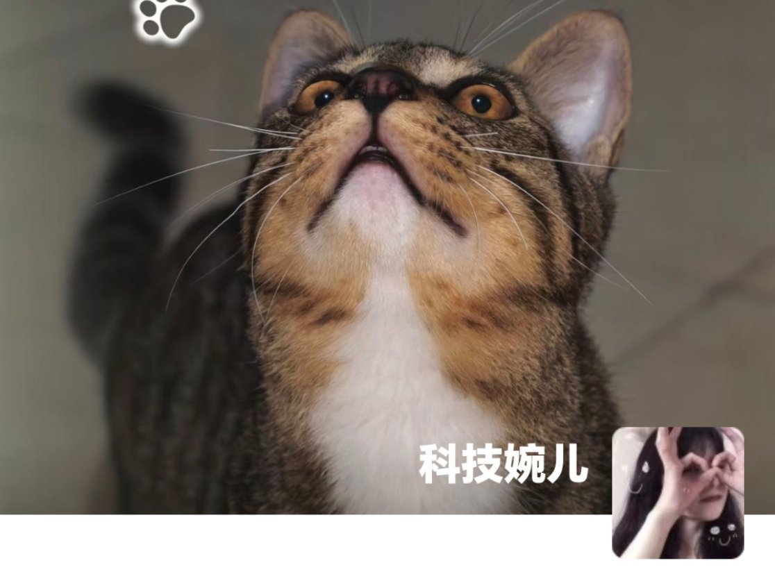 微信头像 第一印象确实是这样，头像和朋友圈背景图都蛮关键的，我每次点开别人主页都