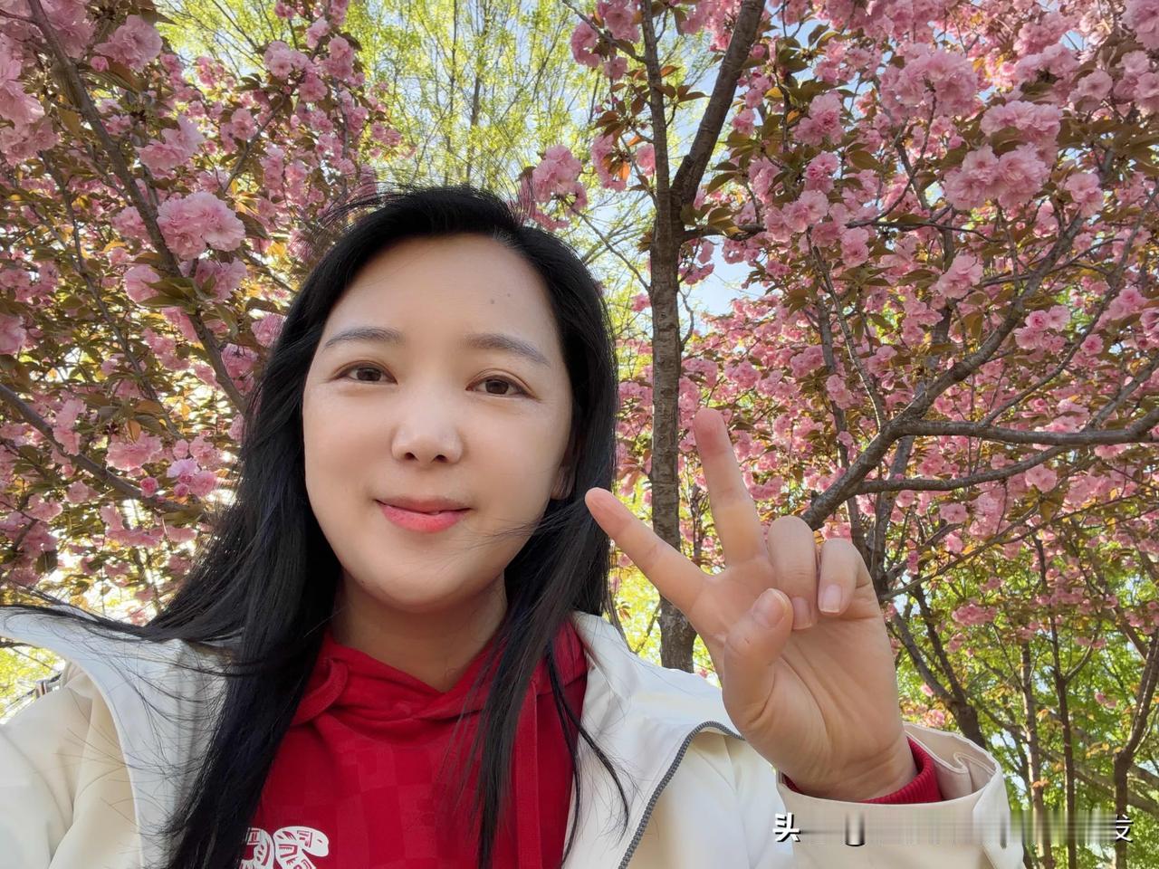 AI从来不是专门为了替代程序员，可偏偏是程序员群体，对AI替代的呼声最大，这事感