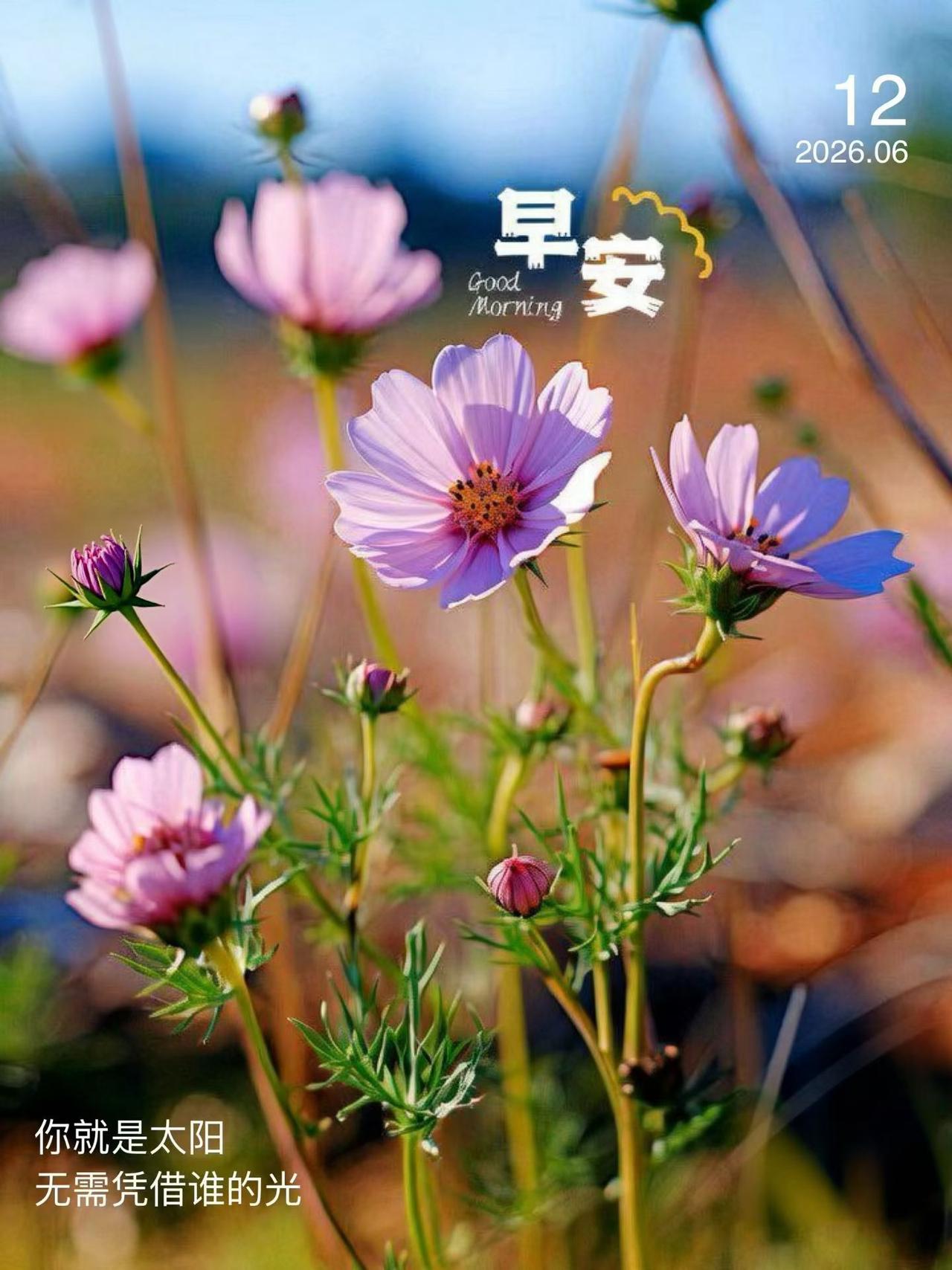 早读：好心态、好脾气，才会有好福气

人活一世，需要有一个好心态。

身在高处时