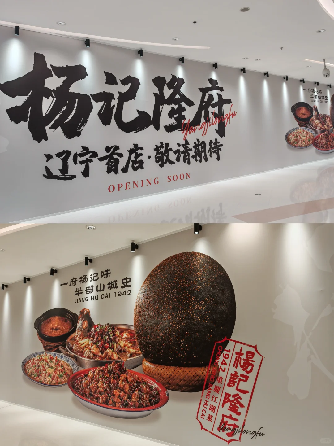 重庆排队王杨记，来沈阳了，真的假的！