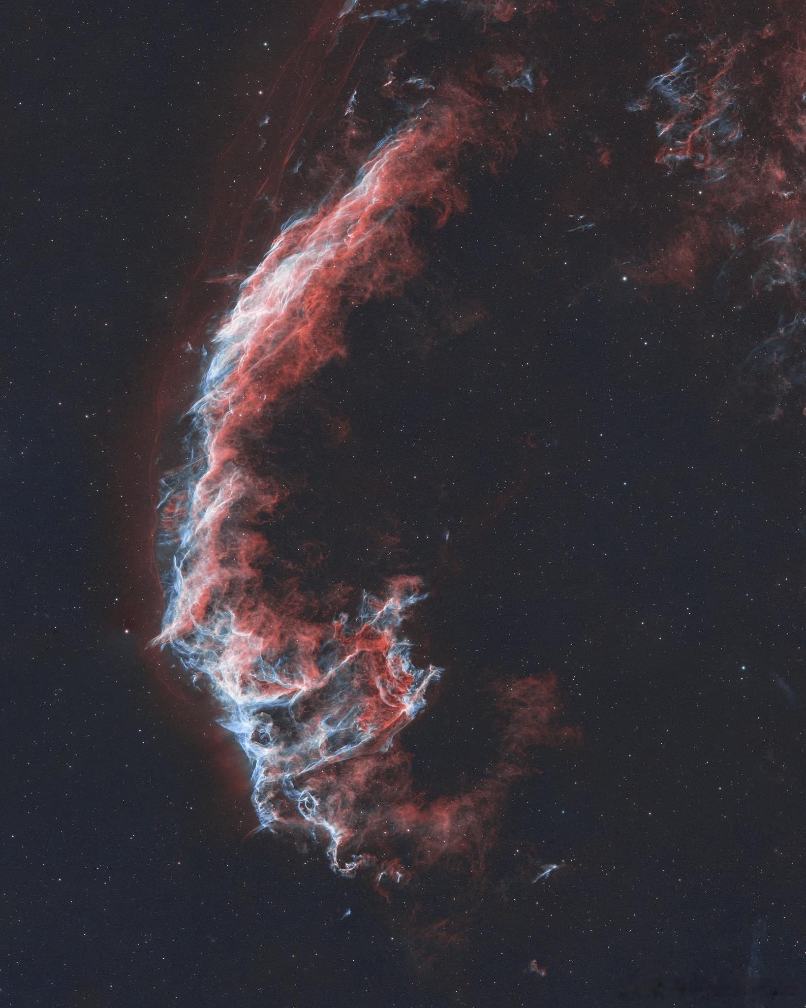 《异形》的海报by Phil Shelly灵感来源于面纱星云 