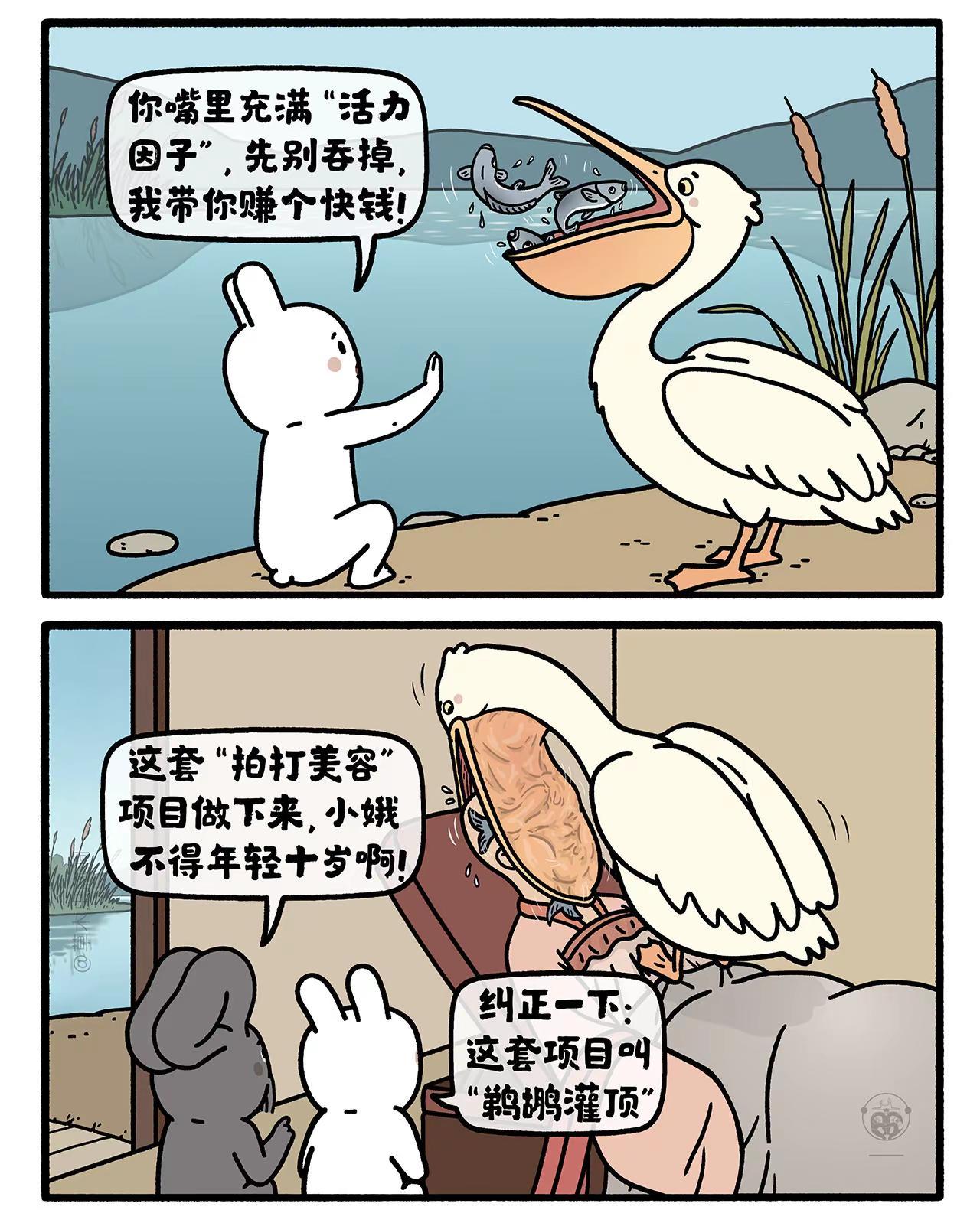 鹈鹕灌顶。嫦娥打工兔 第九二八集