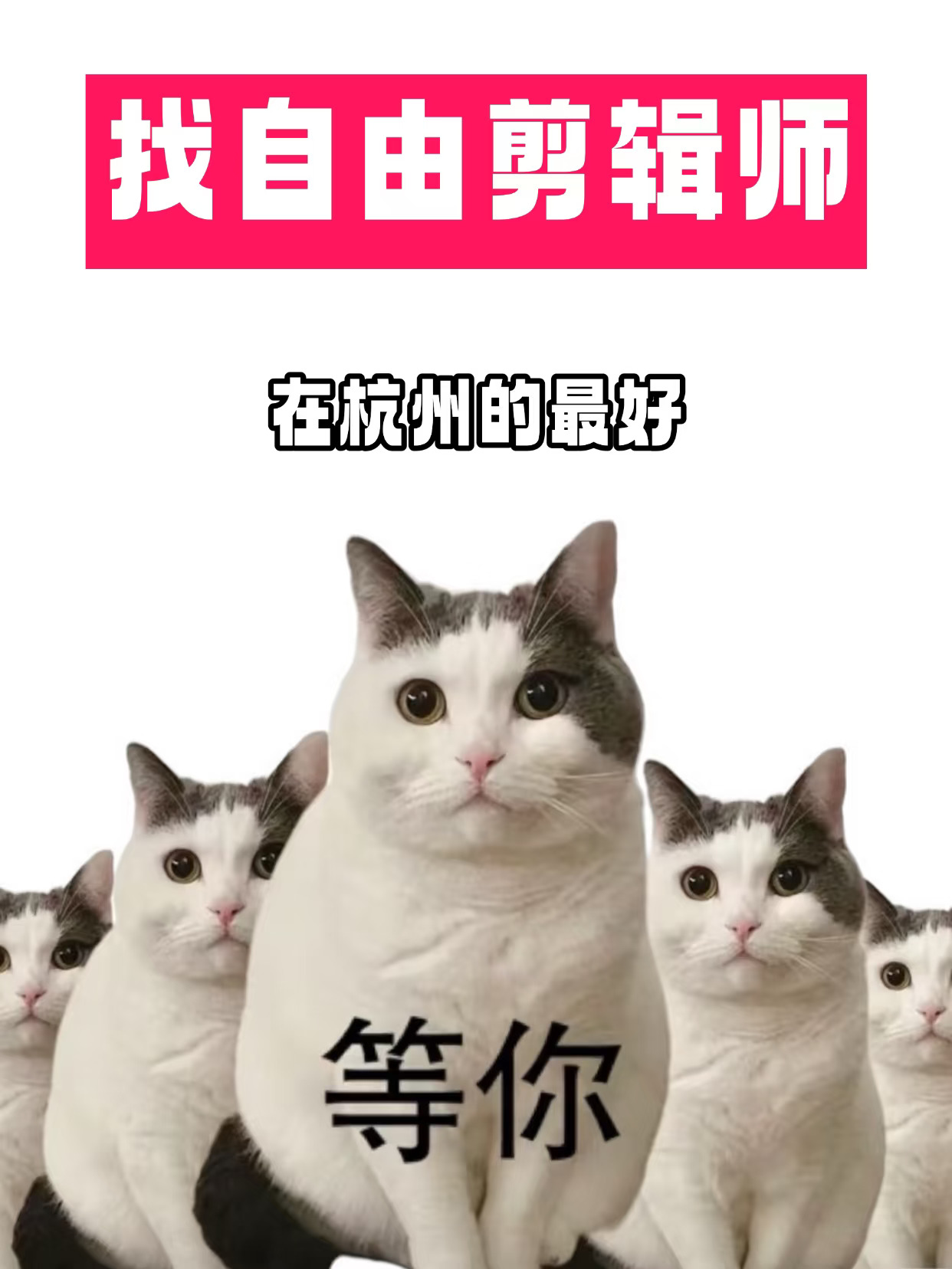 杭州找自由剪辑师!家居vlog房产方向