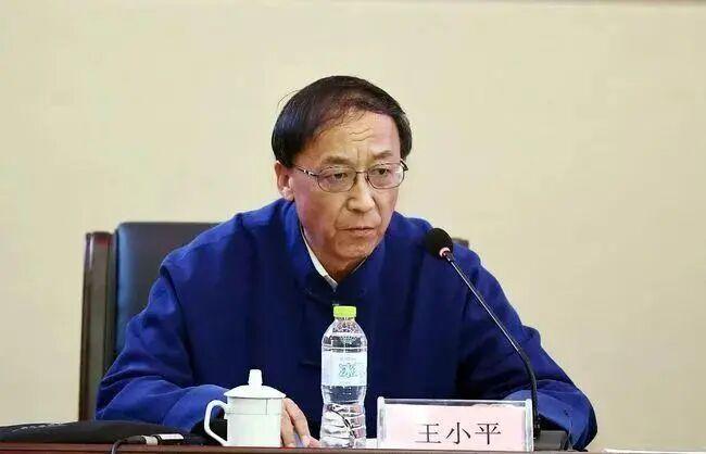 王小平，1982年毕业于北京体育学院，曾任中国政法大学体育法研究中心教授，200