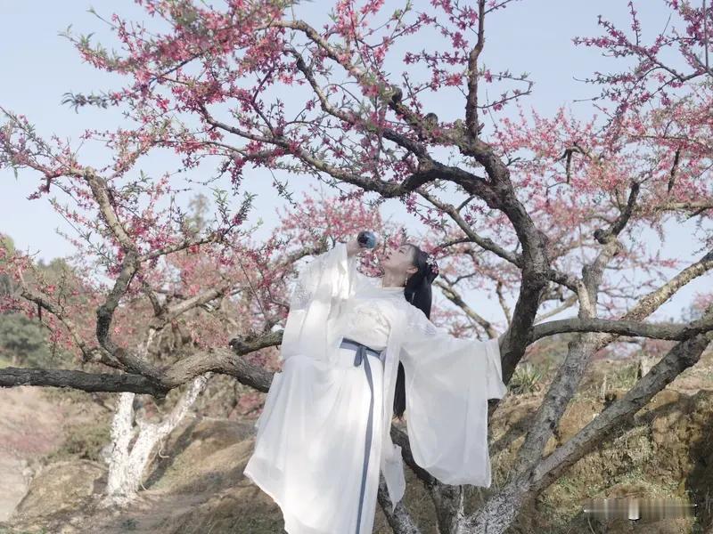 这上联“桃花树下谁邀酒”，画面感可足了，就好像咱能看到那桃花纷纷扬扬，有人在树下