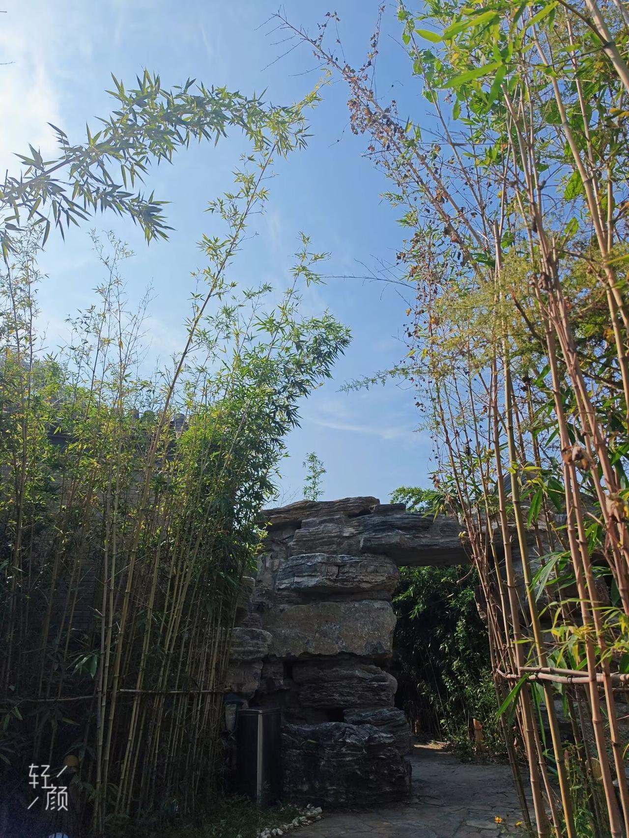 我要上精选-全民写作大赛