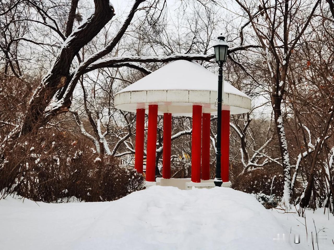 一程初雪落山河，悠悠往事过经年。带着飞雪妖娆的浪漫，留白红花裹白雪，素美人间。