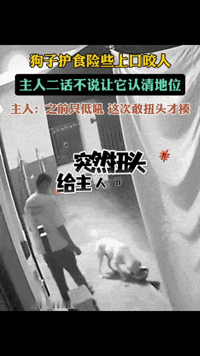 山西一名男子干完农活回到家，从院子里正在吃食的狗子身边经过，原本埋头啃食的狗子突