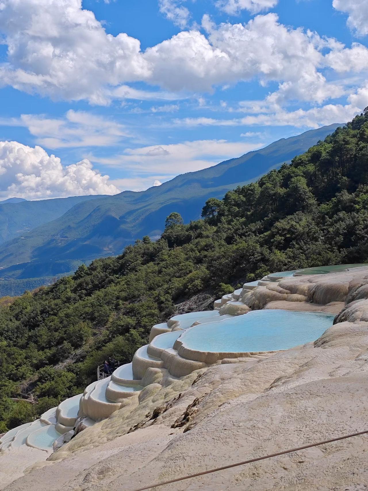 高三生怕吵求拆鸟巢，校长回信拒绝！这才是中国教育该有的样子！

深圳一位高三学生