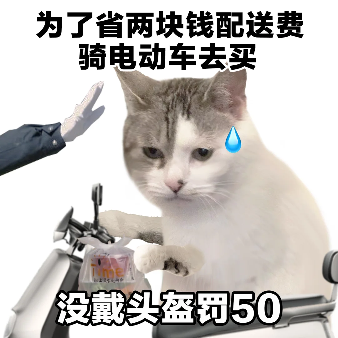表情包 | 实现阶级跨越，我做对了这几件事