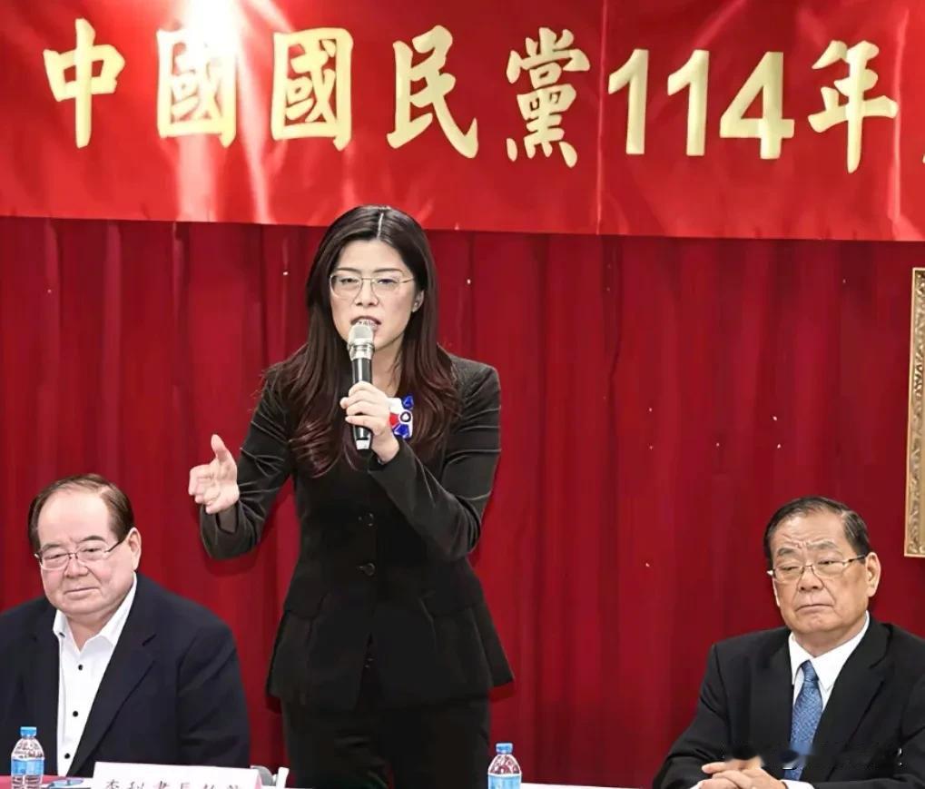 国民党自蒋介石时代起，就腐败透顶。现在的台湾国民党，是内斗内行，外斗外行，自从被