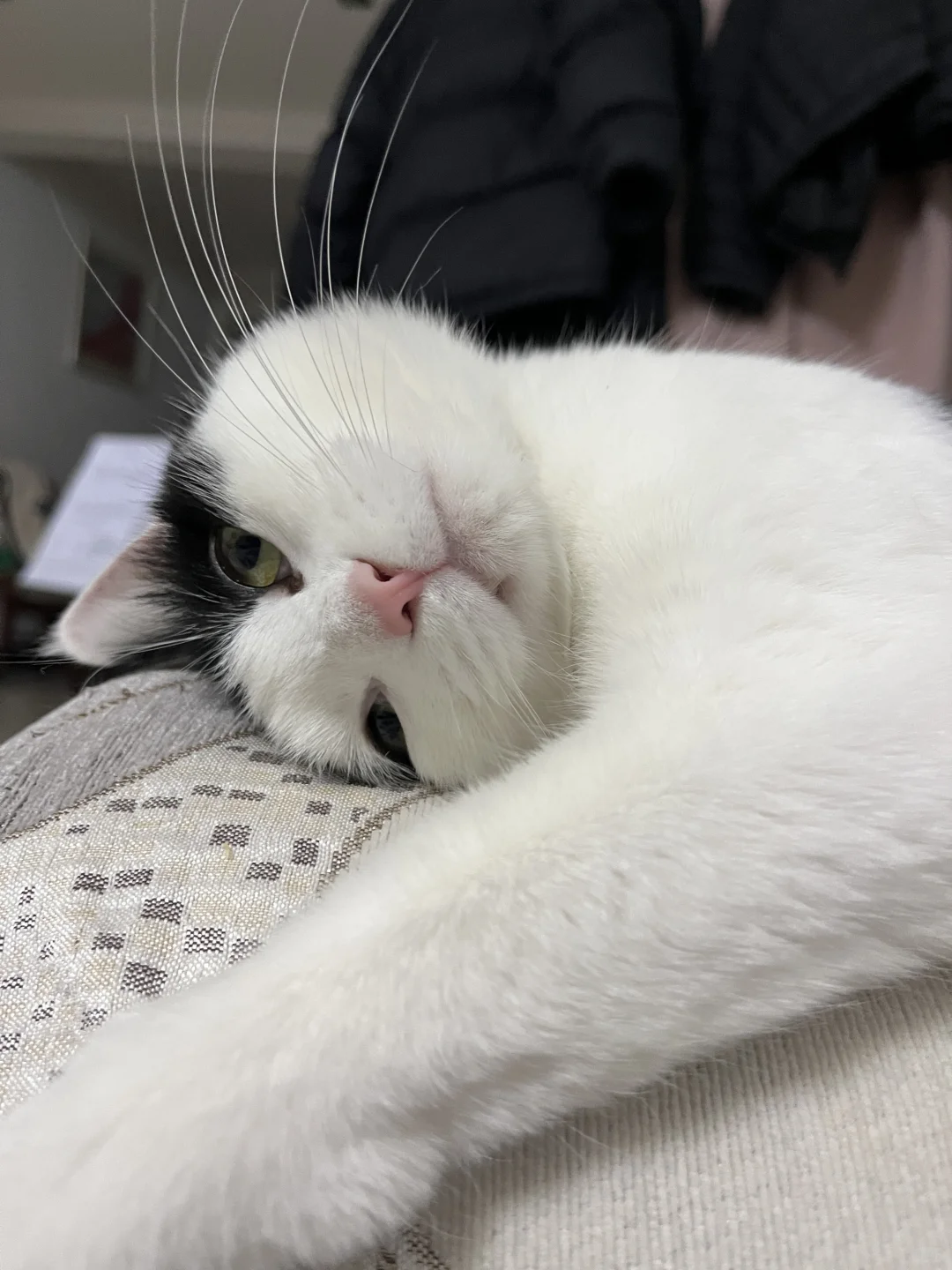 不给吃零食就整这死出