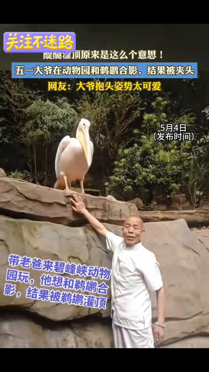 醍醐灌顶原来是这么个意思！五一大爷在动物园和鹈鹕合影，结果被夹头。网友：大爷抱头