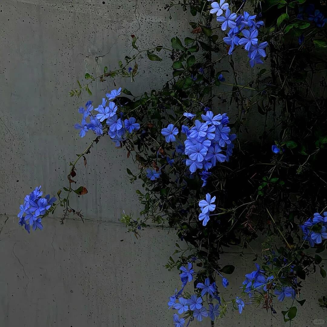 状态不好的时候每天强迫自己穿漂亮衣服，画画淡妆，多出门，多走动，见很多不同的人，