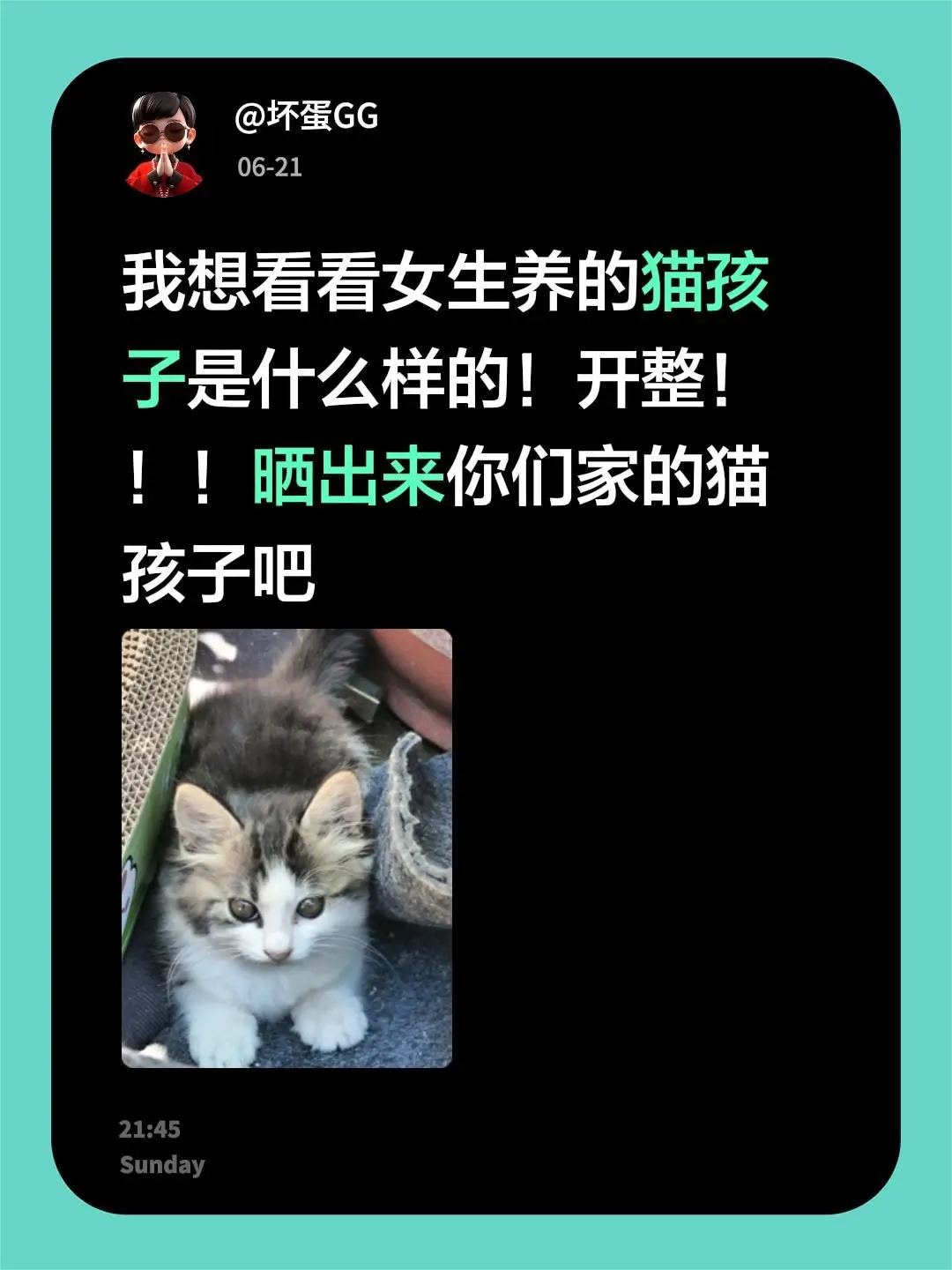我想看看女生养的猫孩子是什么样的！开整！！！晒出来你们家的猫孩子吧