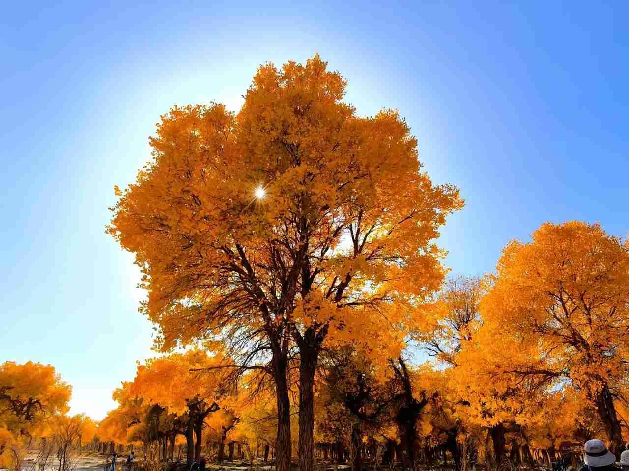 带定位晒今日生活 今日状态轻松愉快，天气也相当给面子，是个多云天，这天气太适合出