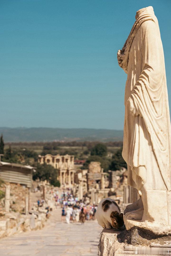 土耳其到处都是猫。餐厅里、景区里、雕像上、酒庄里、悬崖上、栅栏里。全都是猫。随处