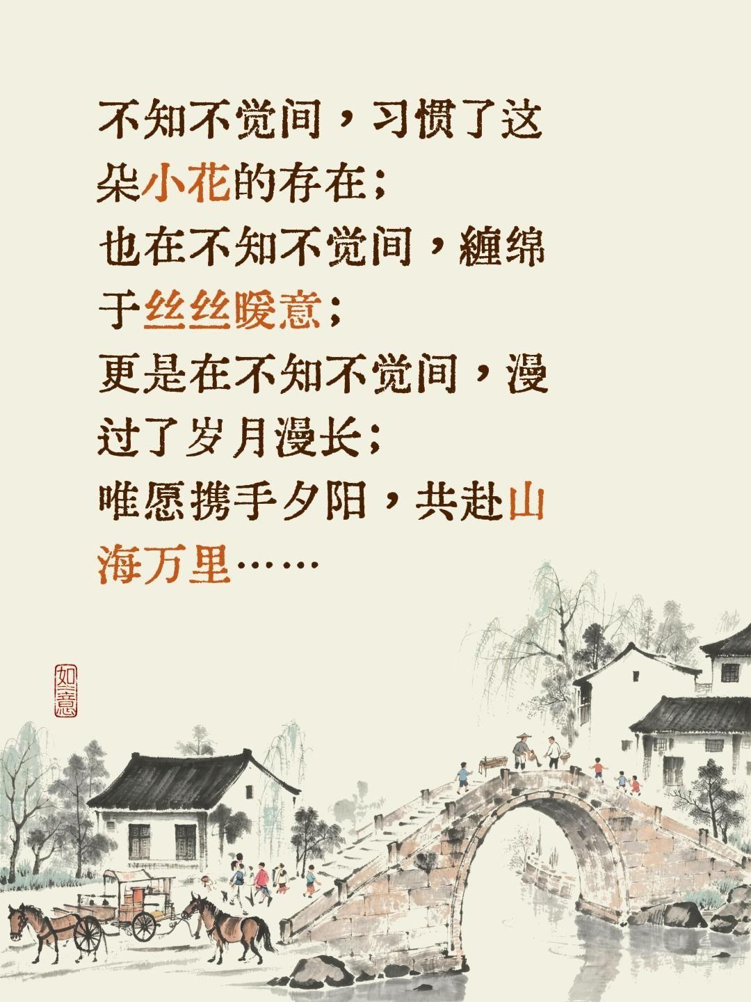 一段温暖人间的文字。不知不觉间，习惯了这朵小花的存在；
也在不知不觉间，缠绵于丝