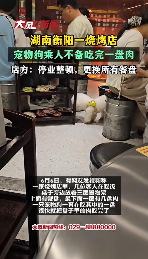 “怎么还有这种事？”6月6日，湖南衡阳，一家烤肉店内，顾客不顾店家反对带着宠物狗