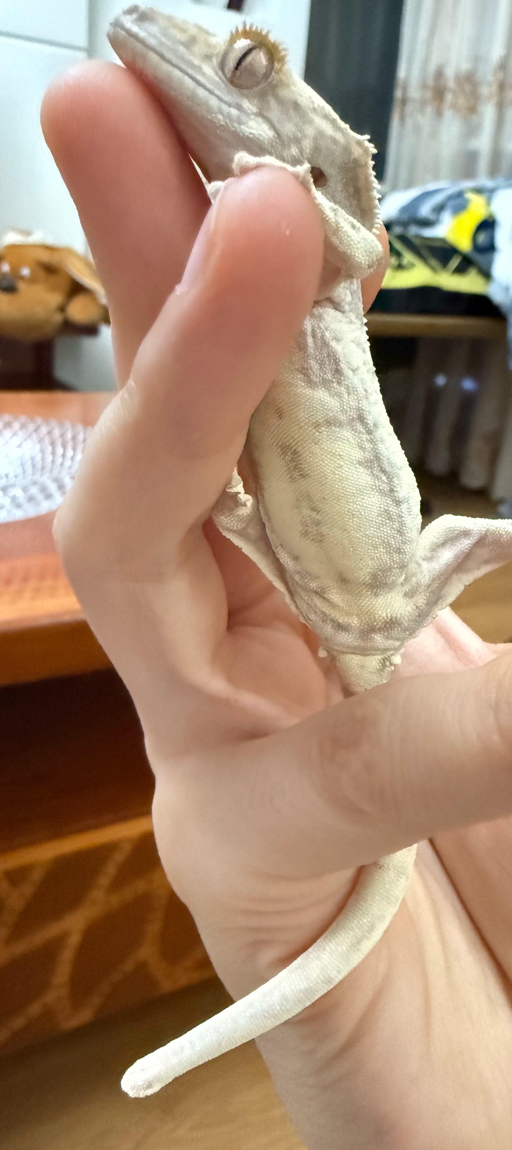分享图片