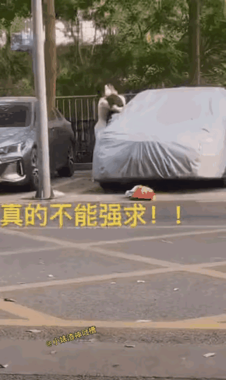 不是想丢就丢，想甩掉就甩掉的。