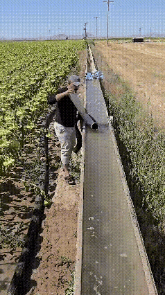 好一个虹吸