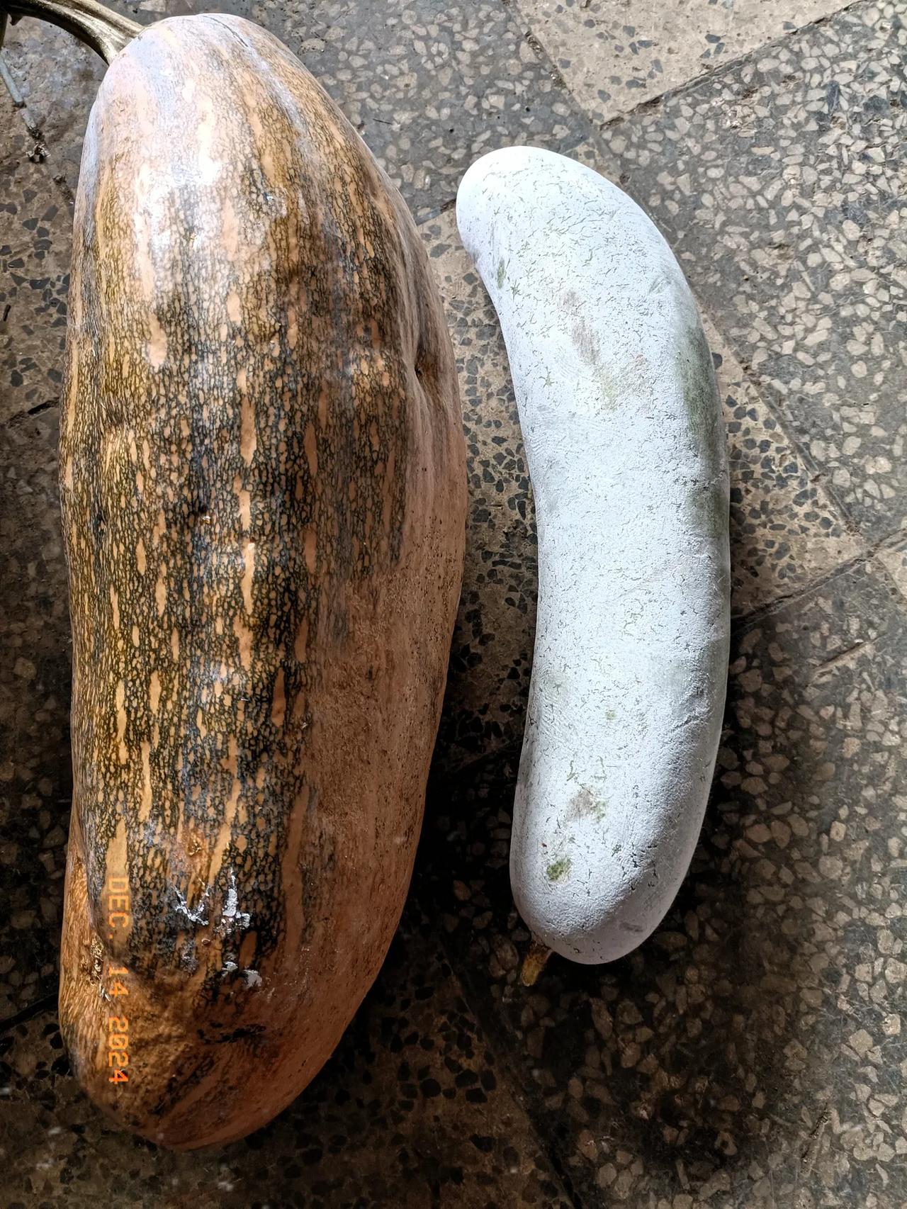 这两个瓜能值多少钱？
刚才一位大妈挑着小菜从我门口路过，她问我要不要买瓜，我说不