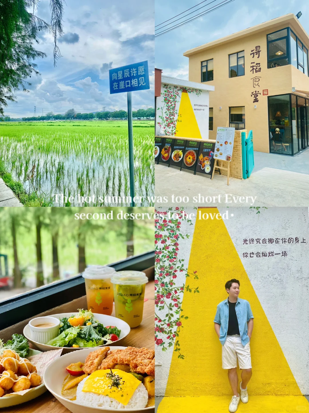 中山｜在希望的田野里 想见你🌿