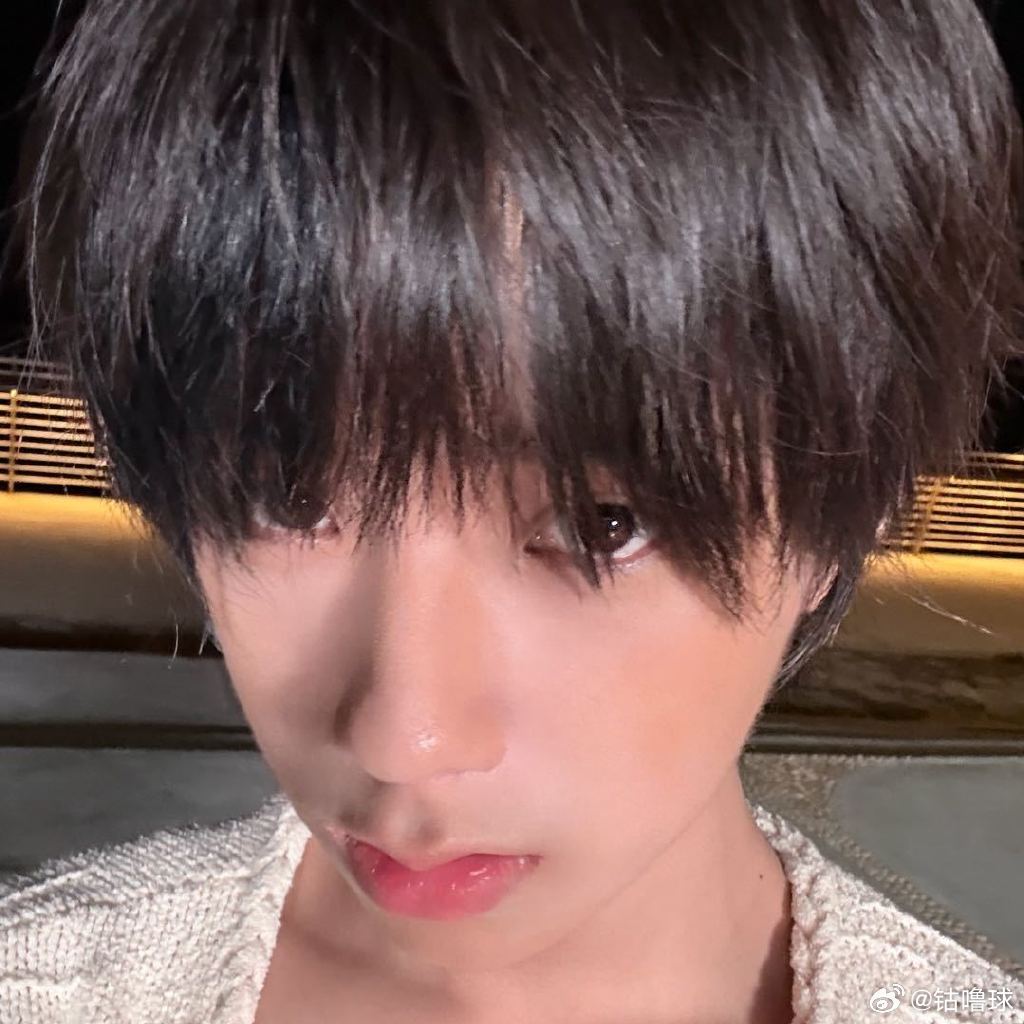 王橹杰换头像谁家的可爱小狗