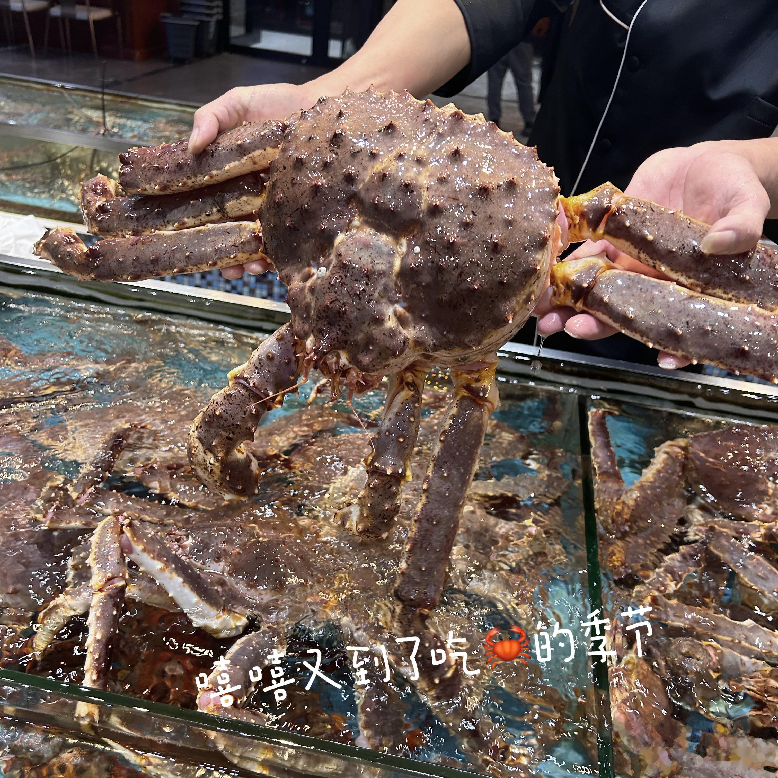 慧慧快乐每一天[送花花] ​​​