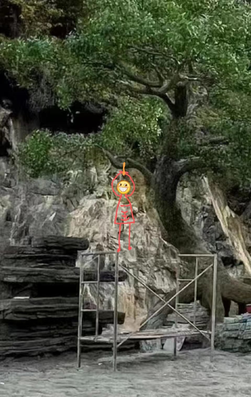 这表情包很魔性🙉 ​​​