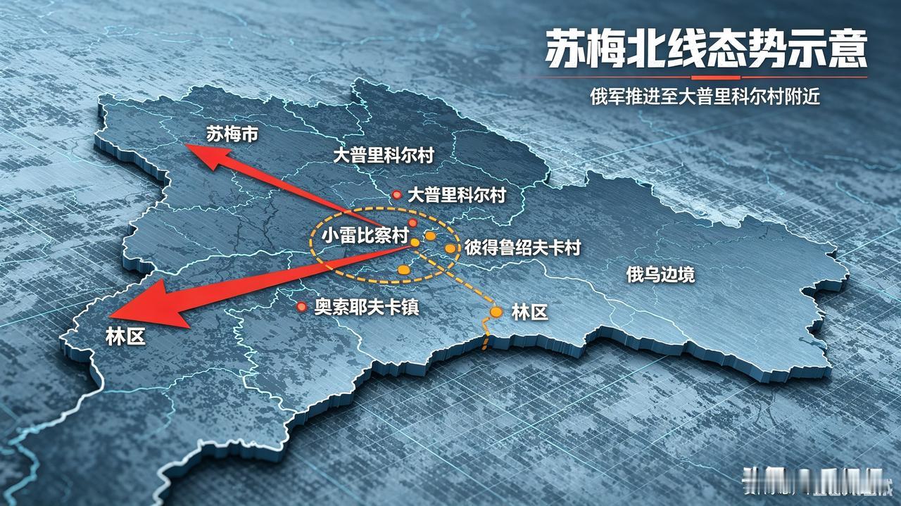俄乌战场上有意思的细节不少，苏梅州这个大普里科尔村，光是名字就经常被军迷拿来调侃