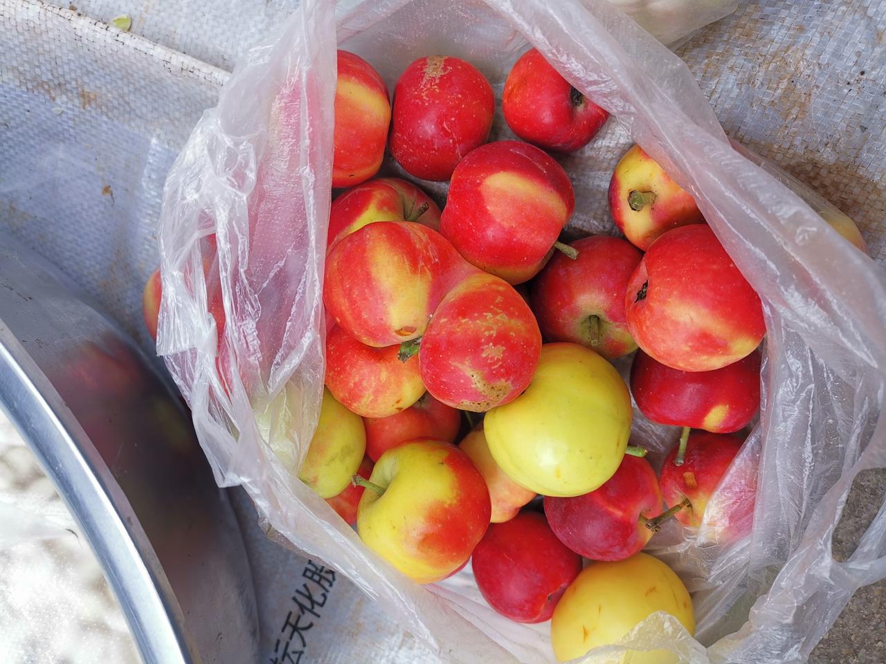 你过年喜欢走亲戚吗？

以前过年走亲戚，那氛围简直绝了！正月里，一家人穿戴得整整