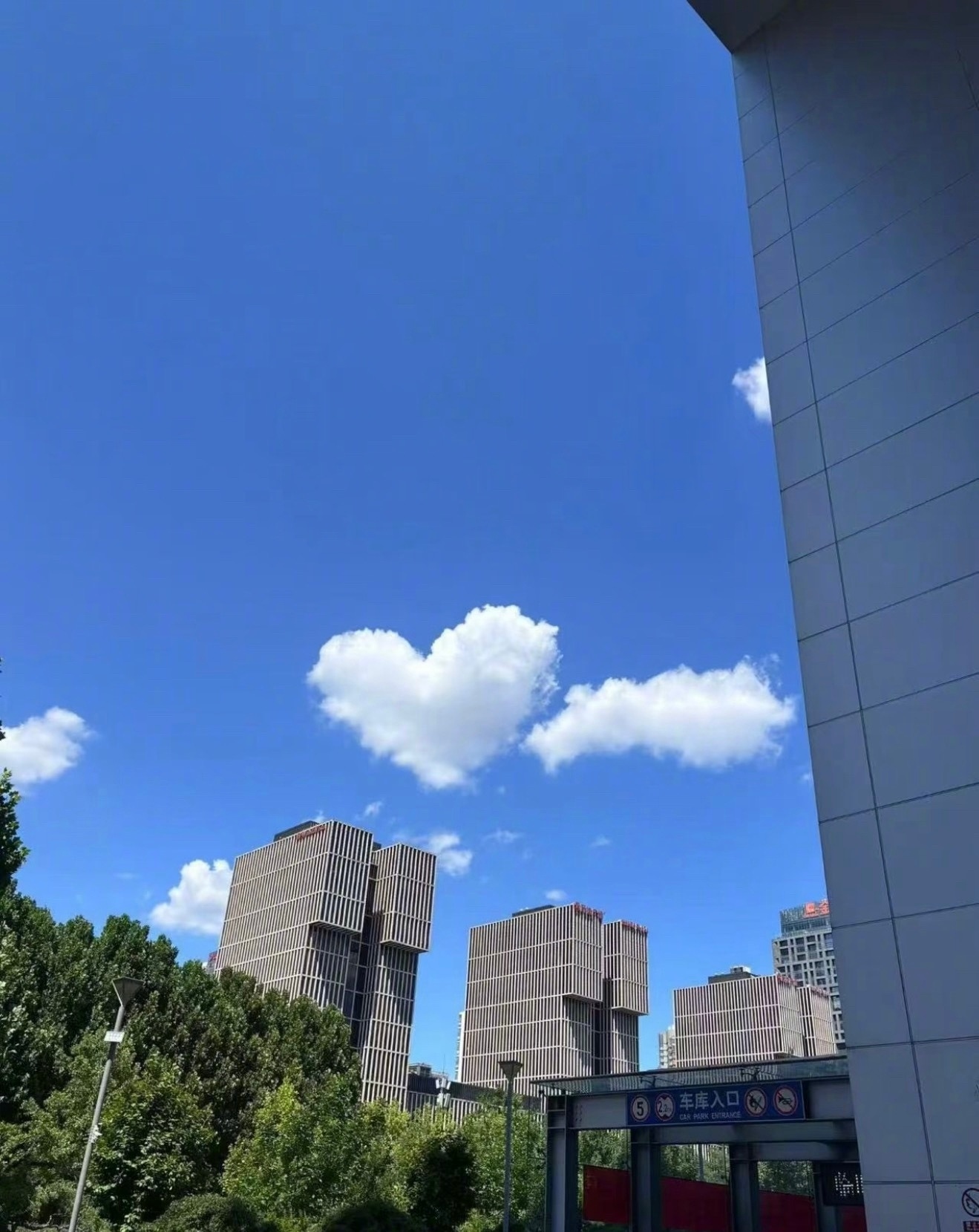 善良是人性光辉中最温暖、最美丽、最让人感动的一缕，有了善良的品性，就有真心爱父母