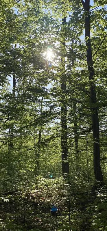 人生的意义，不在于你拥有了什么，而在于你为何而燃烧，与谁而共鸣。

特蕾莎修女在