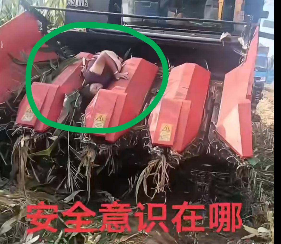 农妇地里捡玉米，不小心被收割机给收了，这也太惨了。收割机收割，一般不会像人工那么