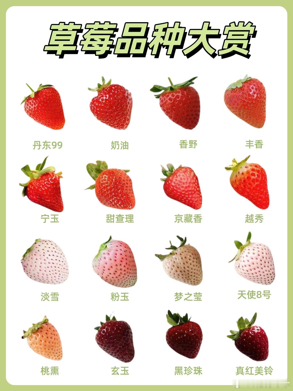 10元一斤草莓和300元一斤草莓区别不知道啥区别，因为没吃过300元一斤的草莓