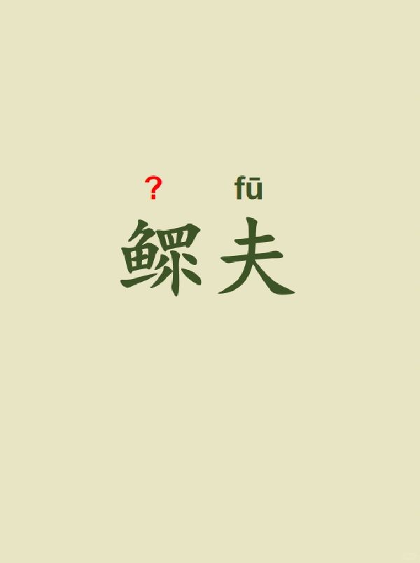 今天来学习——鳏夫