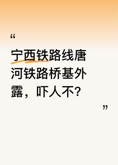 有人发现宁西铁路线唐河铁路桥基外露了。这一情况着实让人担忧，铁路桥基关乎铁路运行